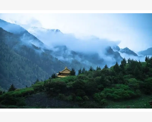 为什么失眠又失忆？