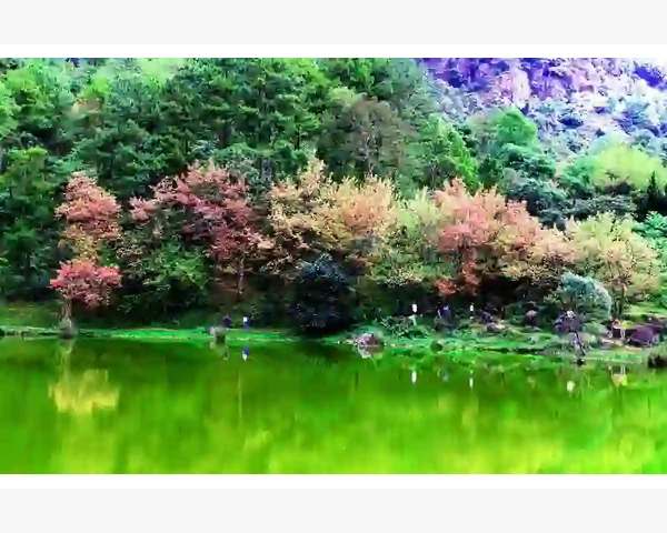 调理脾胃阴阳两虚多久？专家建议这么做